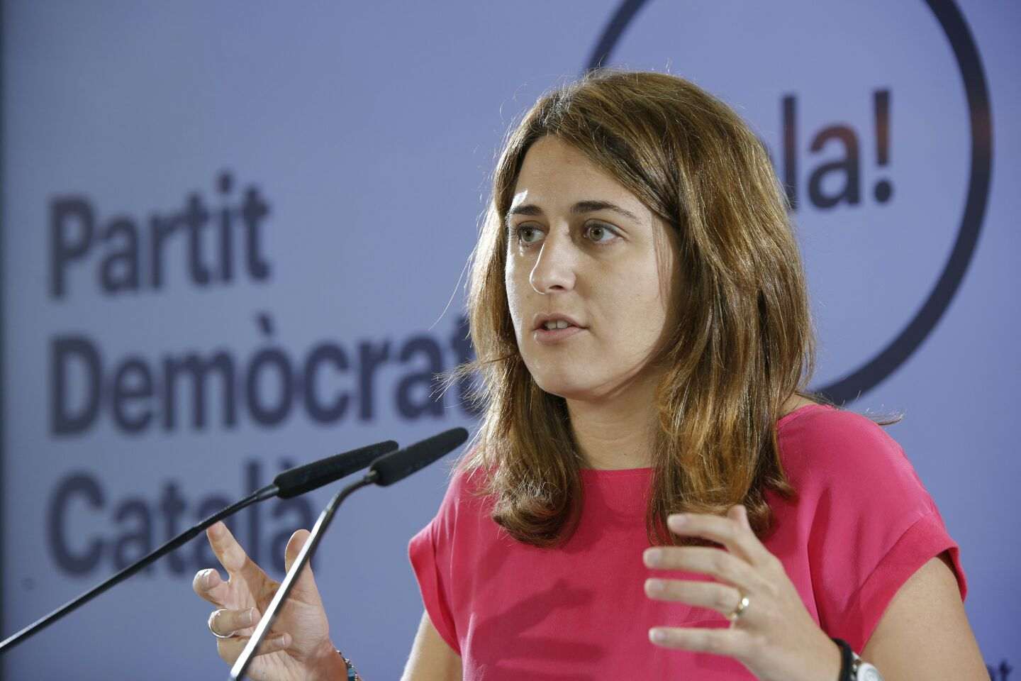 Pascal ve "perfectamente viable" llevar las conclusiones de la comisión del proceso al pleno