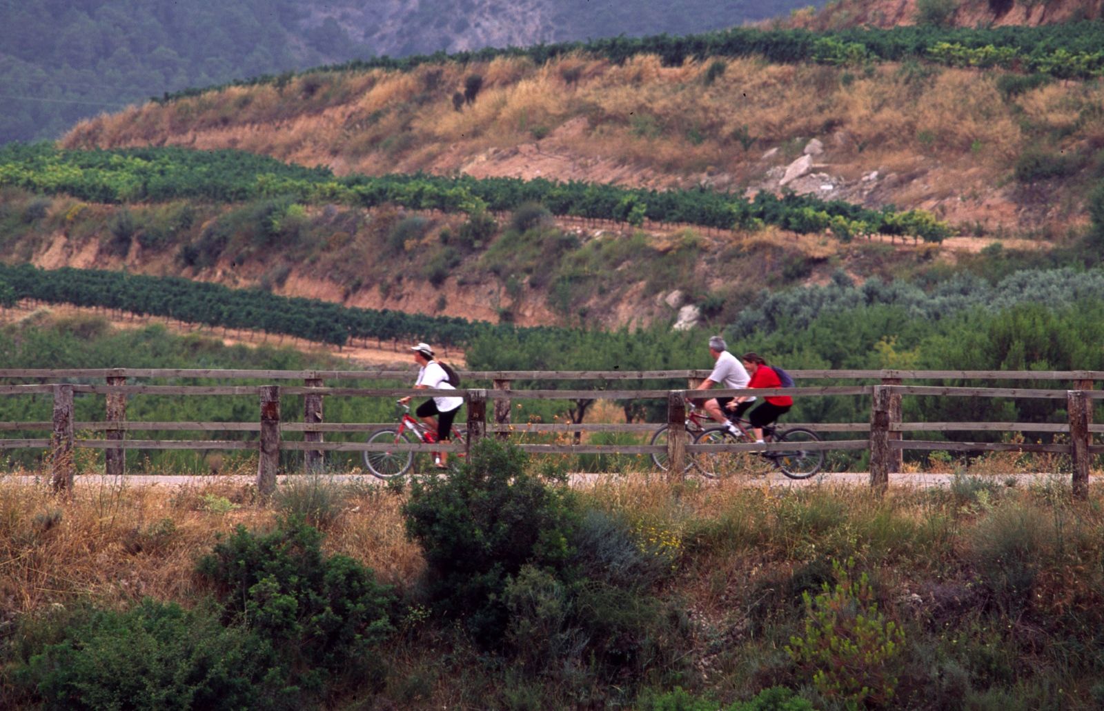 De la Terra Alta a Vall-de-Roures, en bicicleta