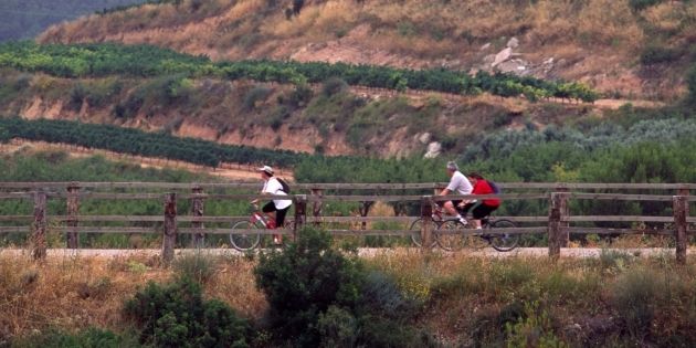 via verda bot m cebolla   j revilla cc terra alta