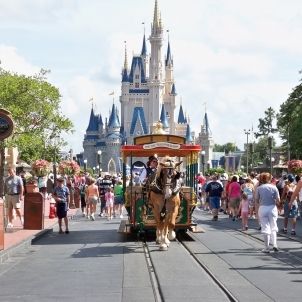 Walt Disney Walt Disney