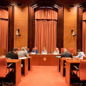 Comissió d'Investigació Operació Catalunya Laura Gómez Comissió d'Investigació Operació Catalunya Laura Gómez