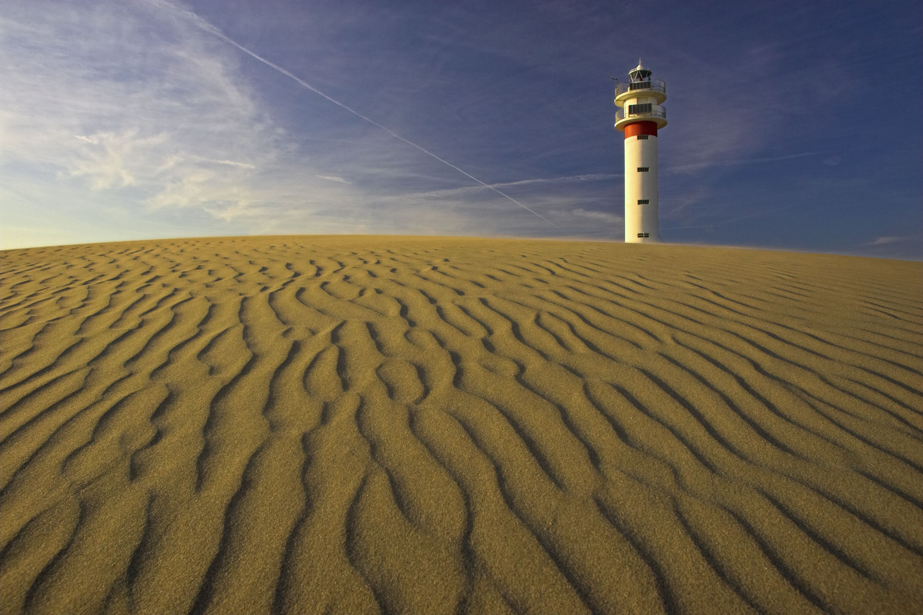 El delta del Ebro, una tierra de arrozales