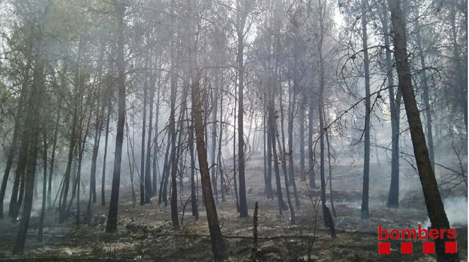 Estabilizado el incendio en Artés