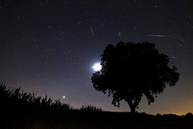 lluvia de estrellas|cometas - shutterstock