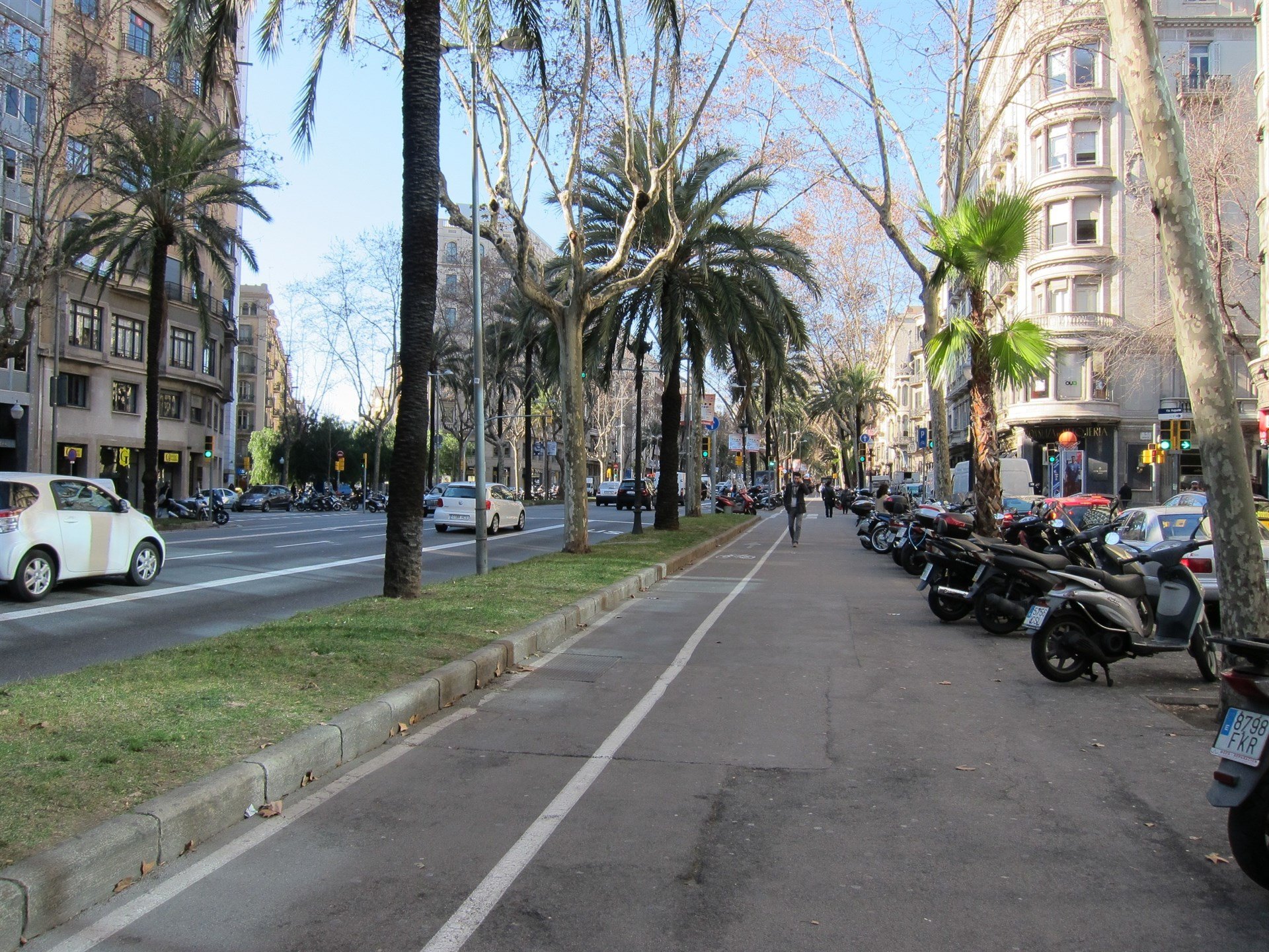 Busquen un conductor que va fugir després d'atropellar un jove a la Diagonal