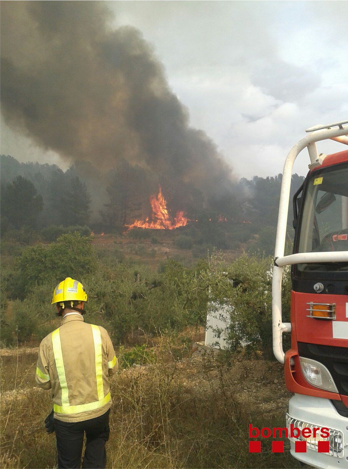 Avui comença una campanya contra incendis "curta però intensa"