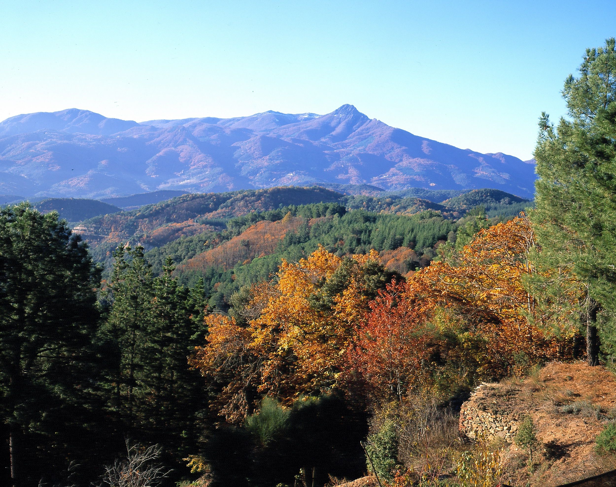 El Montseny i el Turó de l'Home: muntanyes accessibles