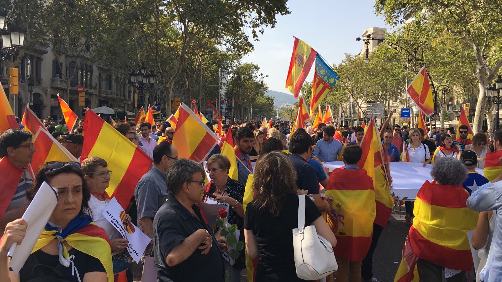 El PP reparteix banderes espanyoles a la Rambla de Catalunya