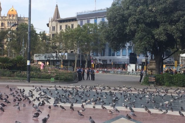 Mossos plaça catalunya maifestació Marta Lasalas