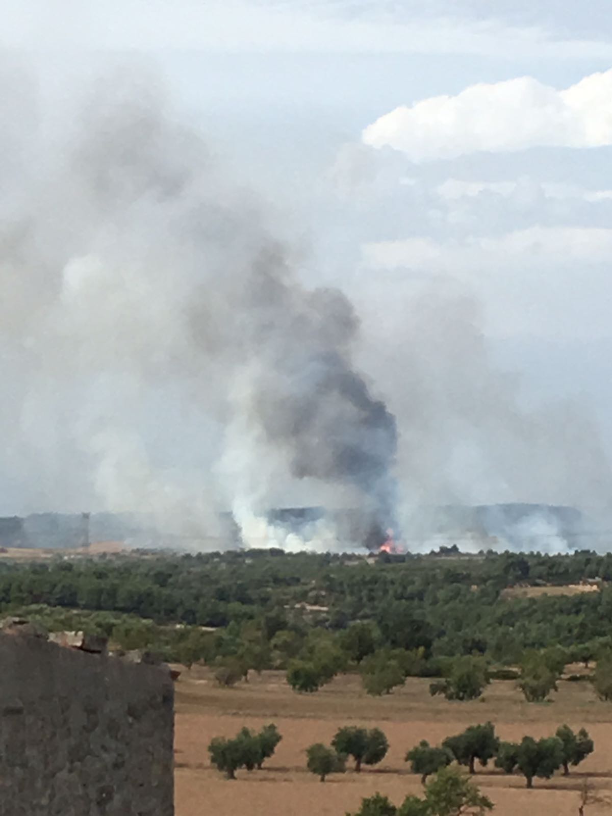 Estabilizado el incendio de Vinaixa (Les Garrigues) después de quemar 34 hectáreas