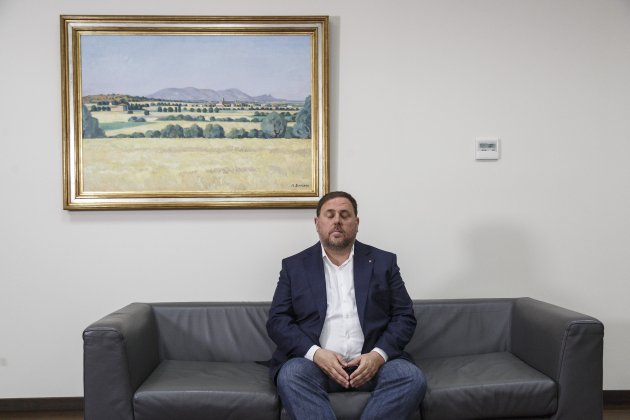 Oriol Junqueras quadre conselleria - Sergi Alcazar