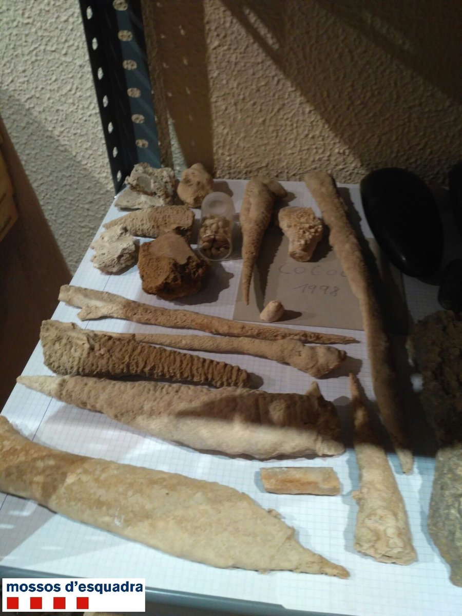 Dos detenidos en Amer por expoliar yacimientos y vender material falsificado