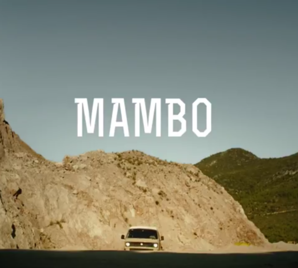 VÍDEO: La CUP passa la pantalla del procés amb 'Mambo'