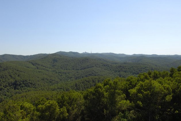 RobertPenya archivo Consorcio Parco Collserola 099