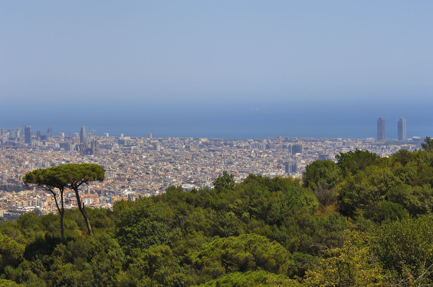 Collserola, un Parque Natural en medio del área metropolitana de Barcelona