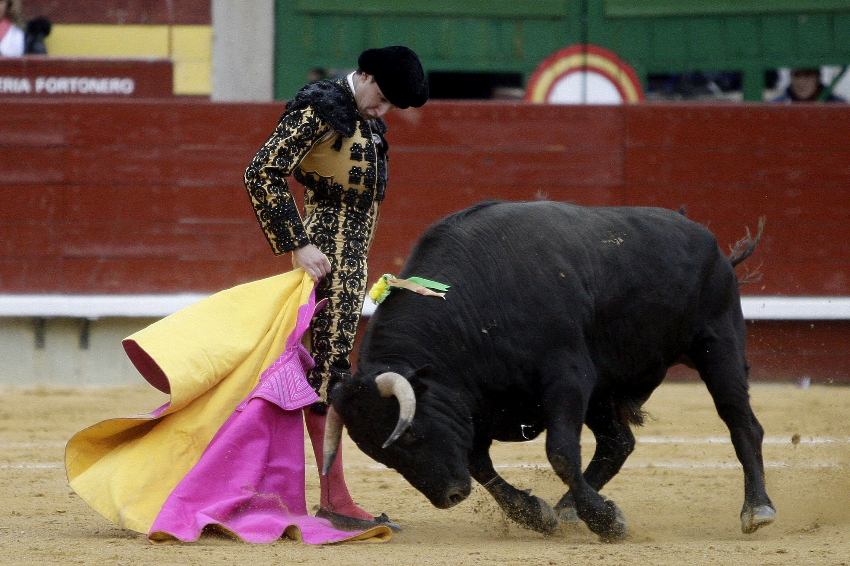 Tres magistrats del TC consideren que l'Estat no pot imposar els toros a Catalunya
