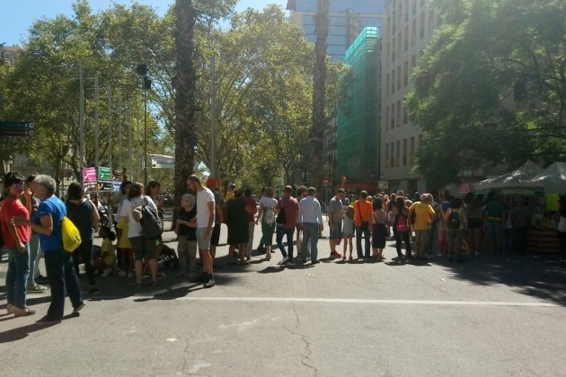 Cues per comprar samarretes a la paradeta de l'ANC / LB