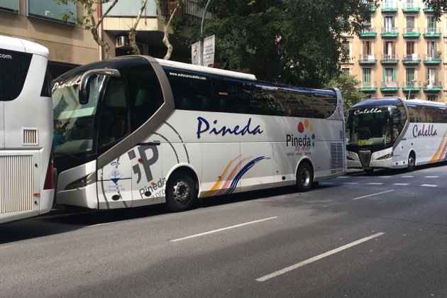 Autobusos Diada 2017 / Nicolas Tomàs