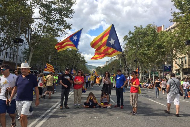 manifestants diada passeig de gràcia   Carlota Camps
