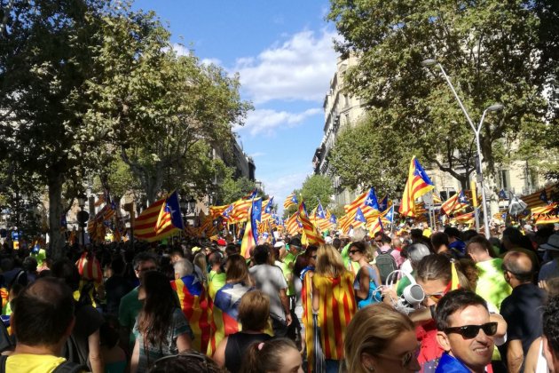 tram alt penedès Diada