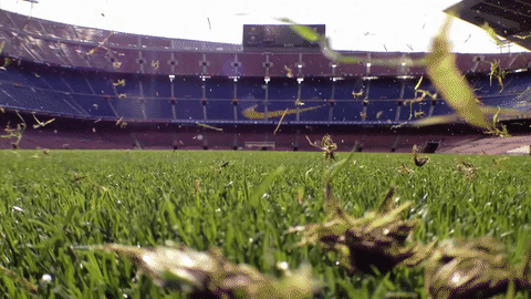 Camp Nou gespa