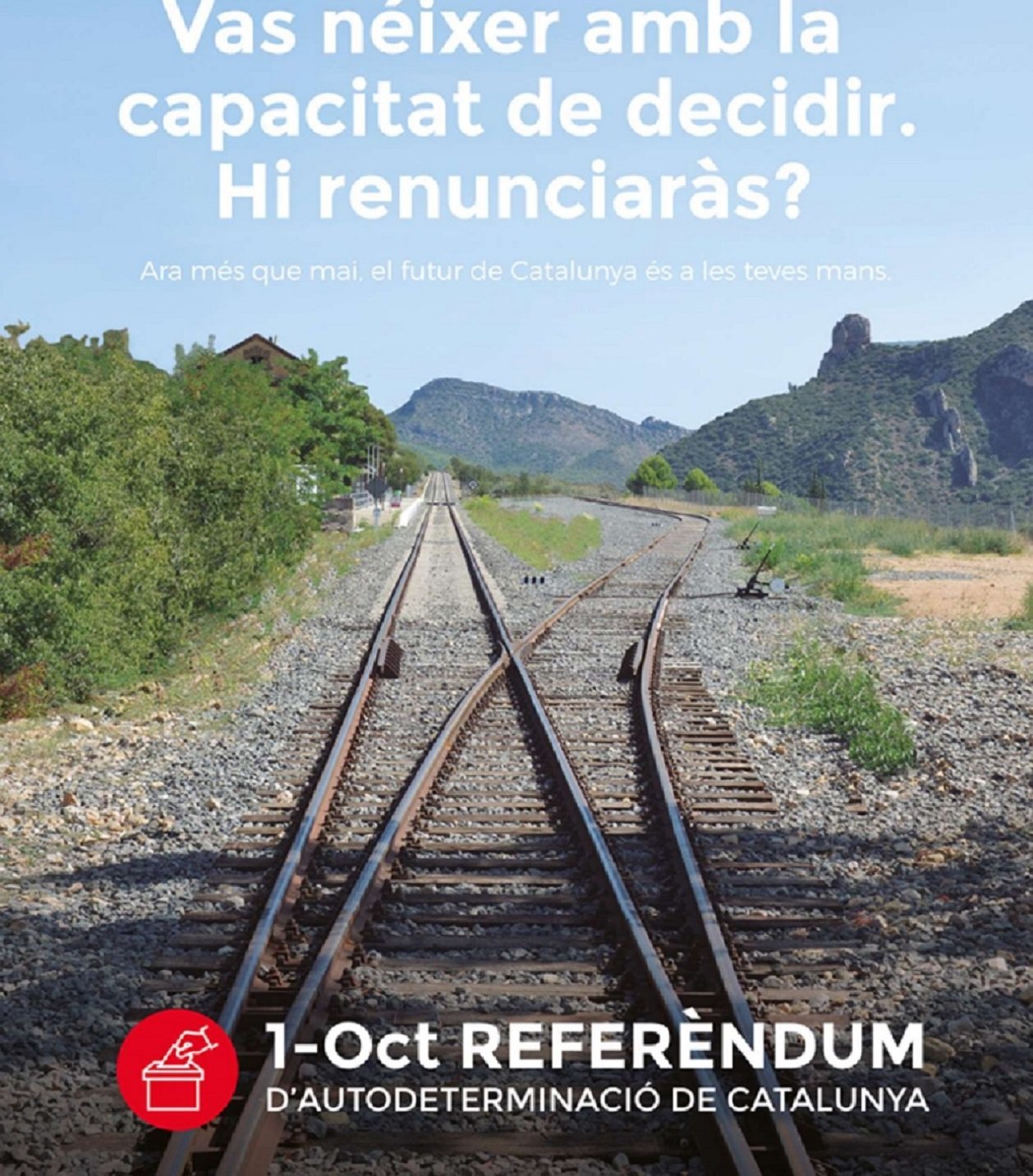 El Govern cuelga en la web del referéndum la papeleta y el anuncio del 1-O