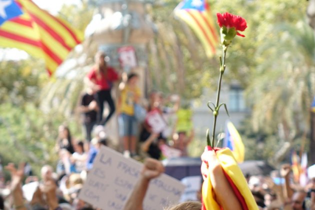 Un clavell s'alça al mig de la manifestació / Roberto Lázaro