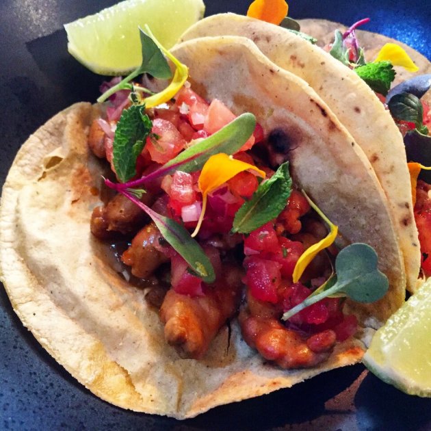 Taco de zorza con pico de gallo