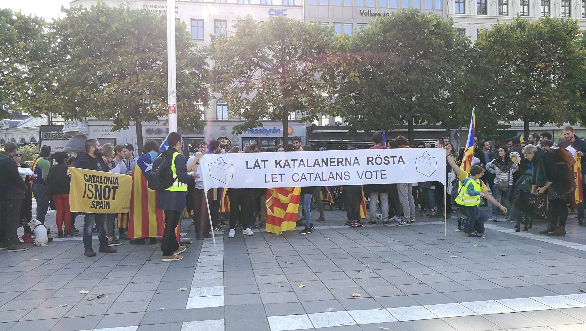 El "¿Qué pone en ti DNI?" llega a la manifestación de los catalanes en Estocolmo