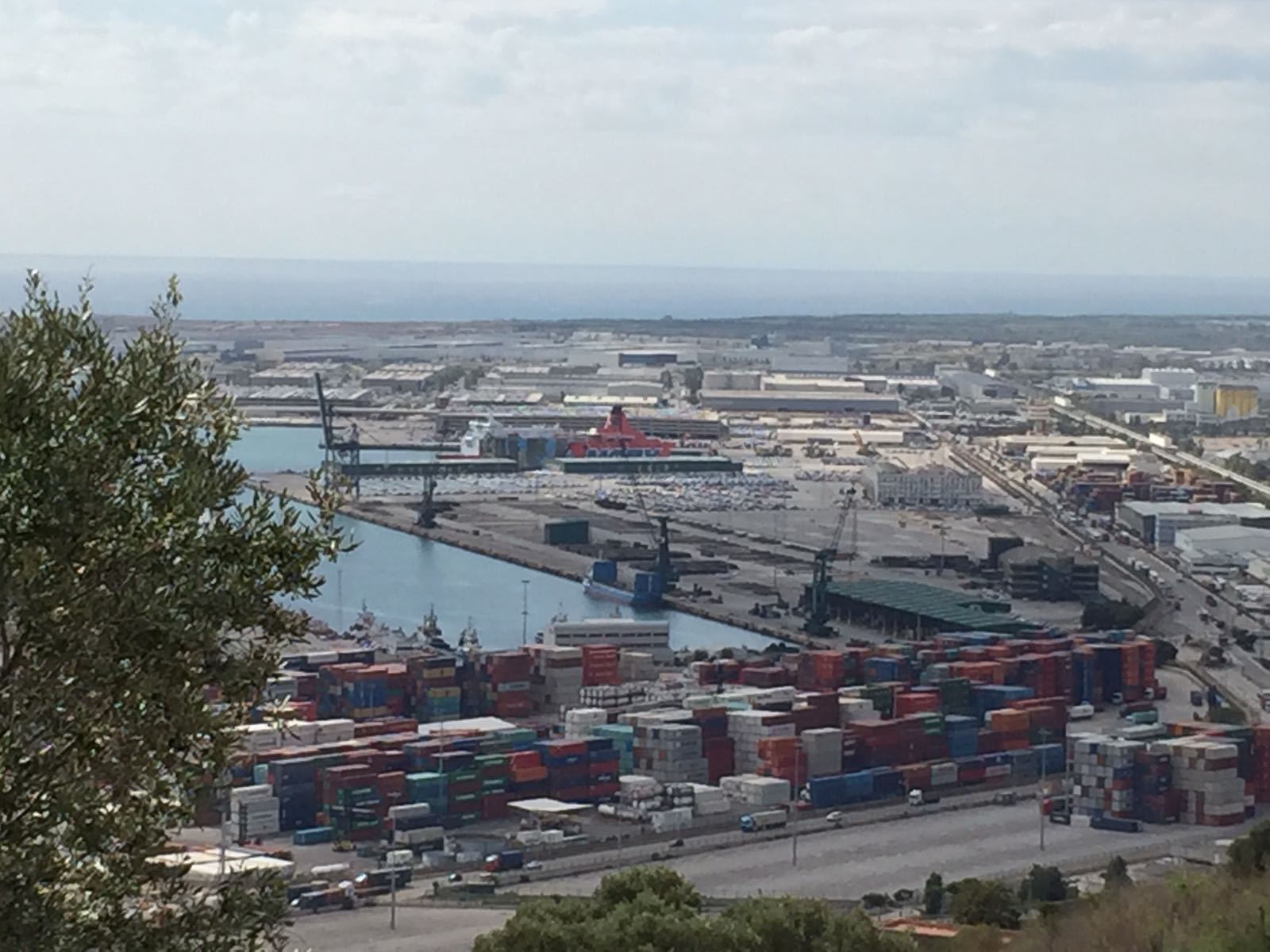 Vuelven a tapar a Piolín y a sus amigos en el puerto de Barcelona