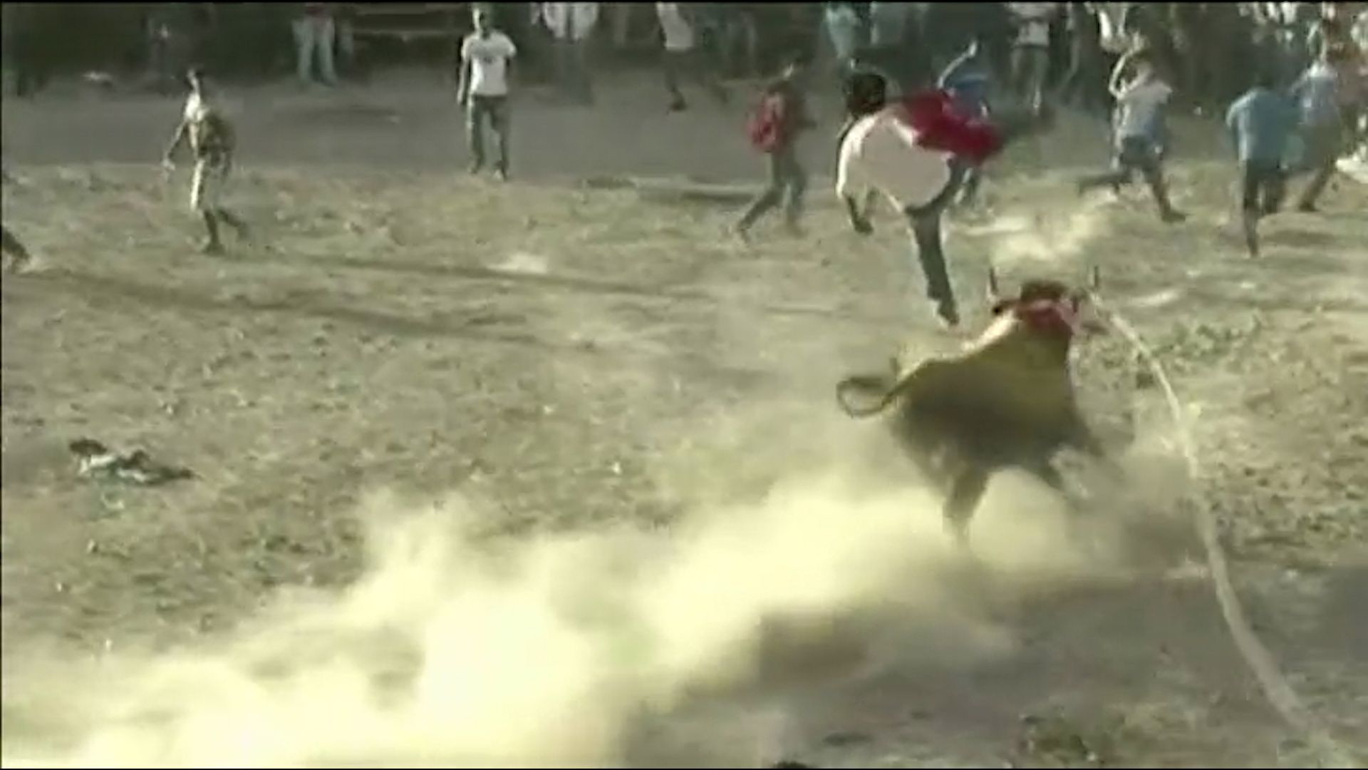 Nou ferits en un correbous al Perú