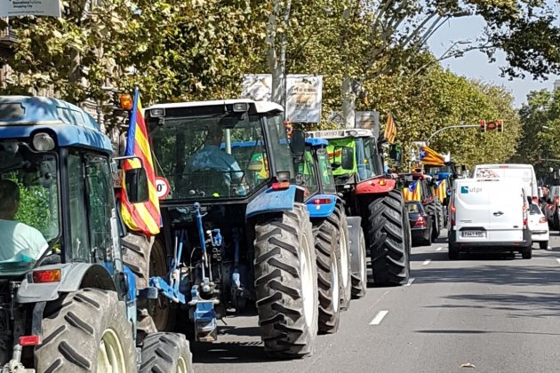 WhatsApp Image 2017 09 29 at 13.00.00