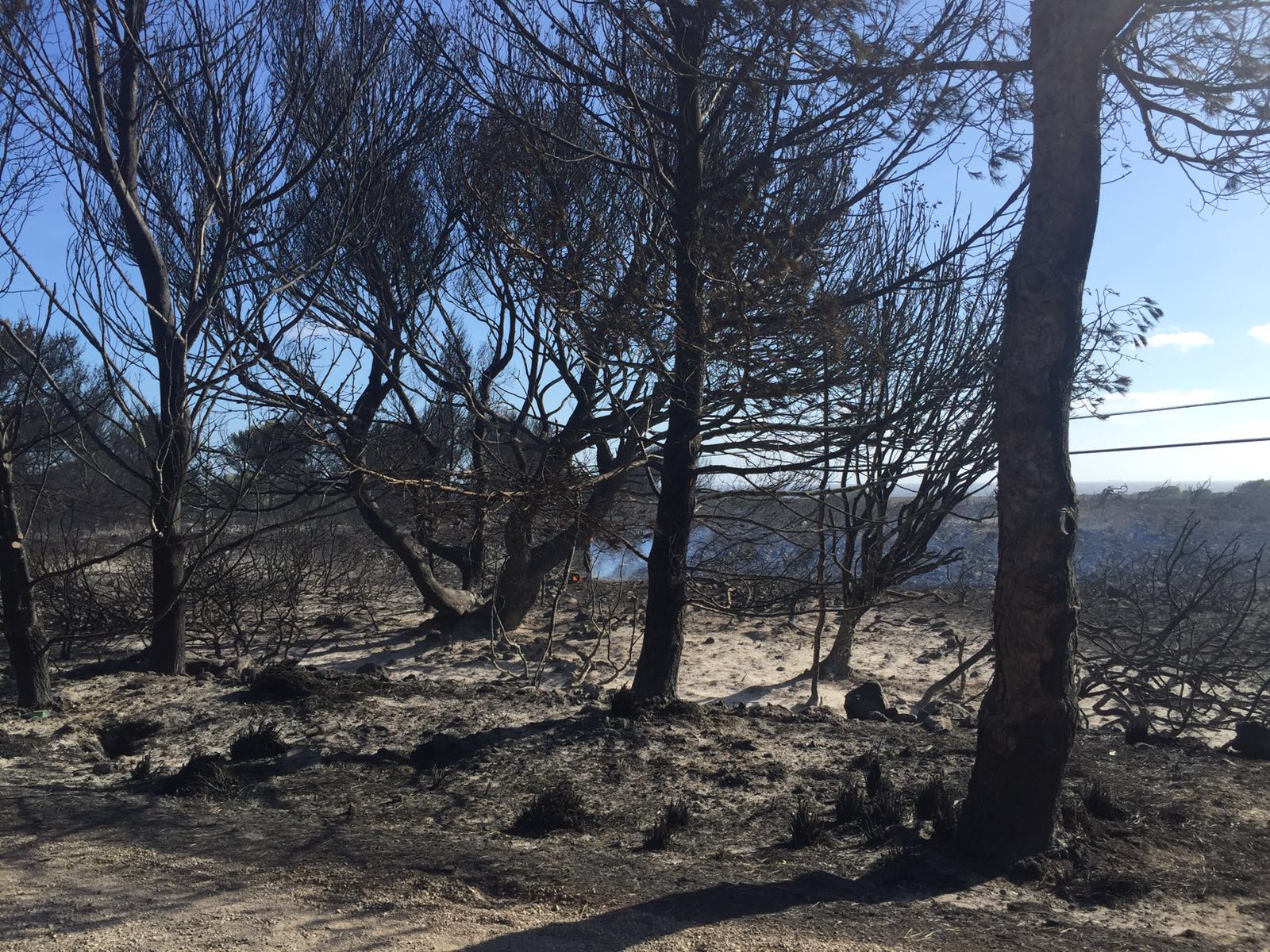 600 desalojados y 80 hectáreas quemadas en un fuego en Menorca