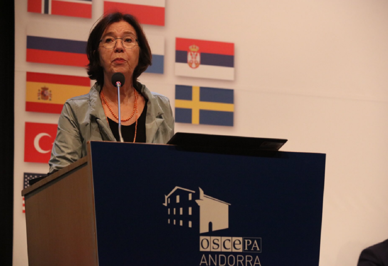 Una assemblea de parlamentaris condemna des d'Andorra la violència i crida al “diàleg”