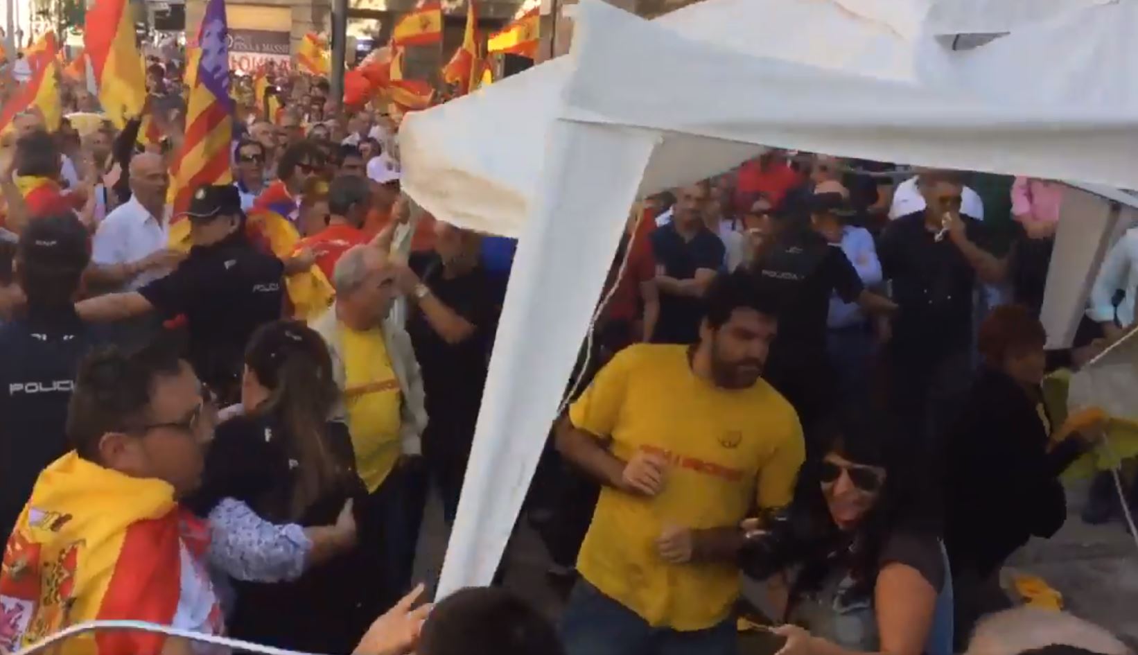 Agresiones en la manifestación españolista de Mallorca