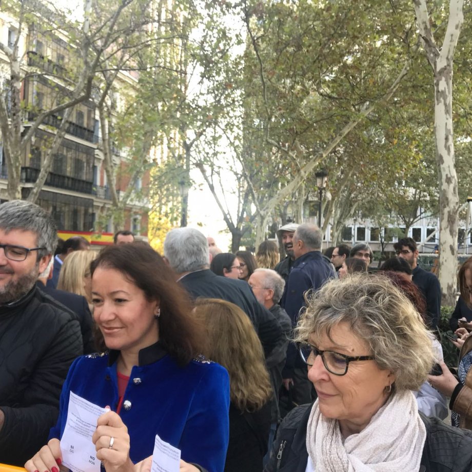 audiencia nacional vots   g linan