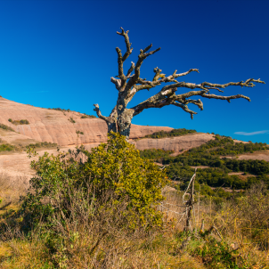 PN Sant Llorenç del Munt PN Sant Llorenç del Munt