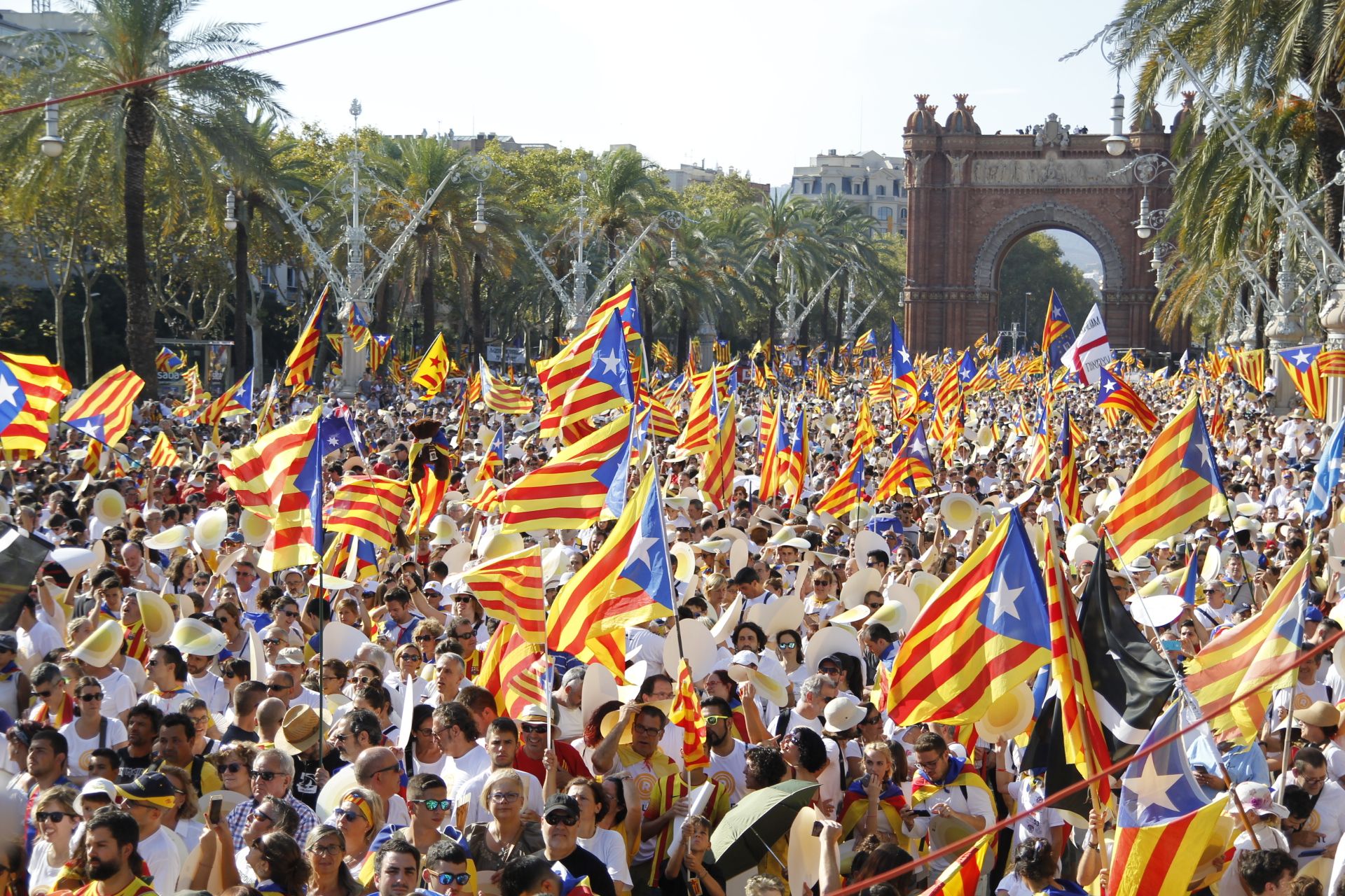 Galeria: La Diada a Barcelona