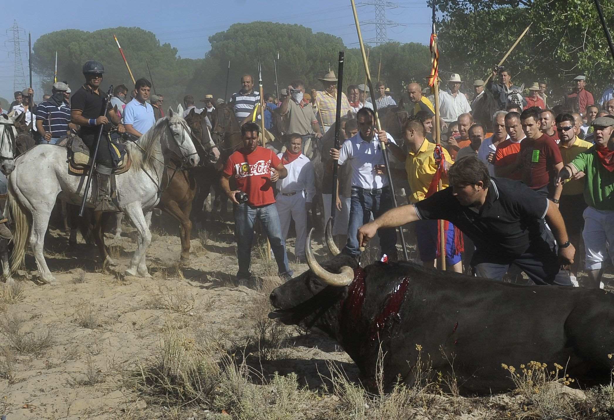 Tordesillas deixa de matar toros amb llances