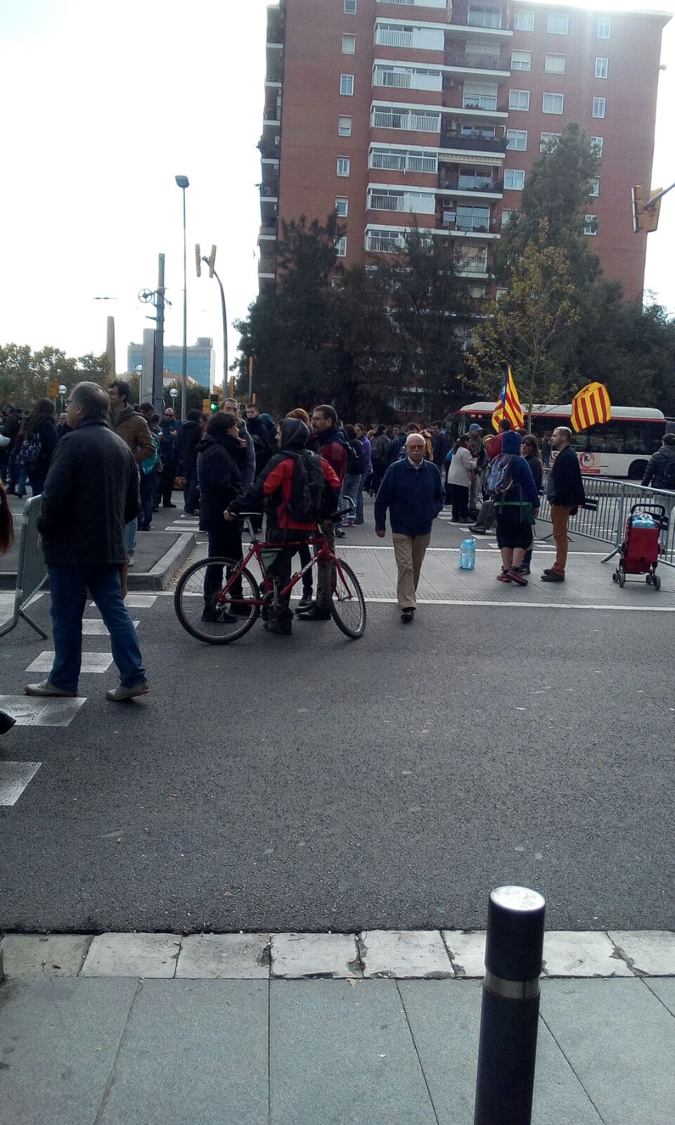 9n vaga clot PBleda 9n vaga clot PBleda