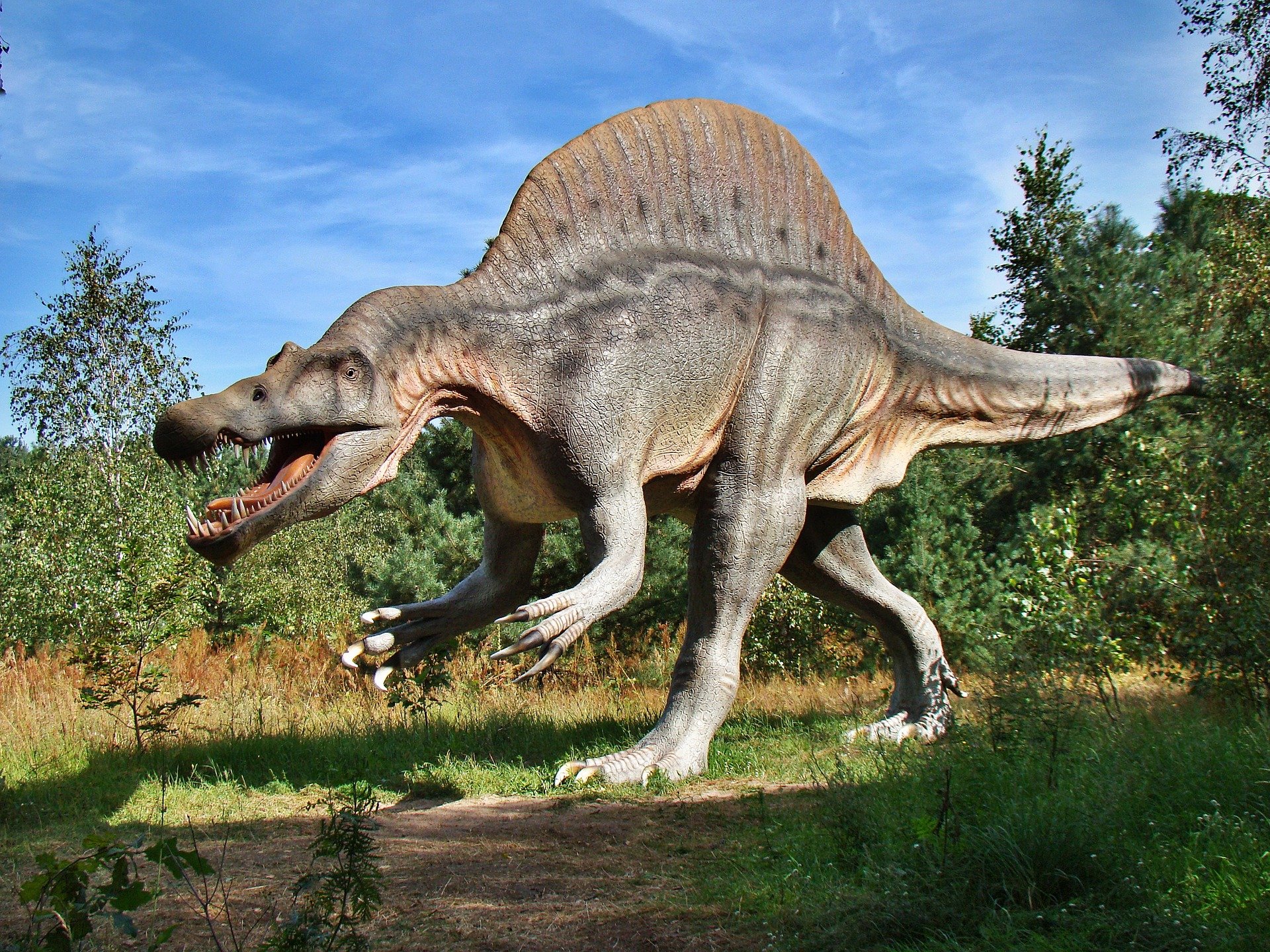 Ya sabemos a qué velocidad corrían los dinosaurios