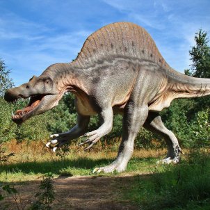 dinosaure pixabay dinosaure pixabay