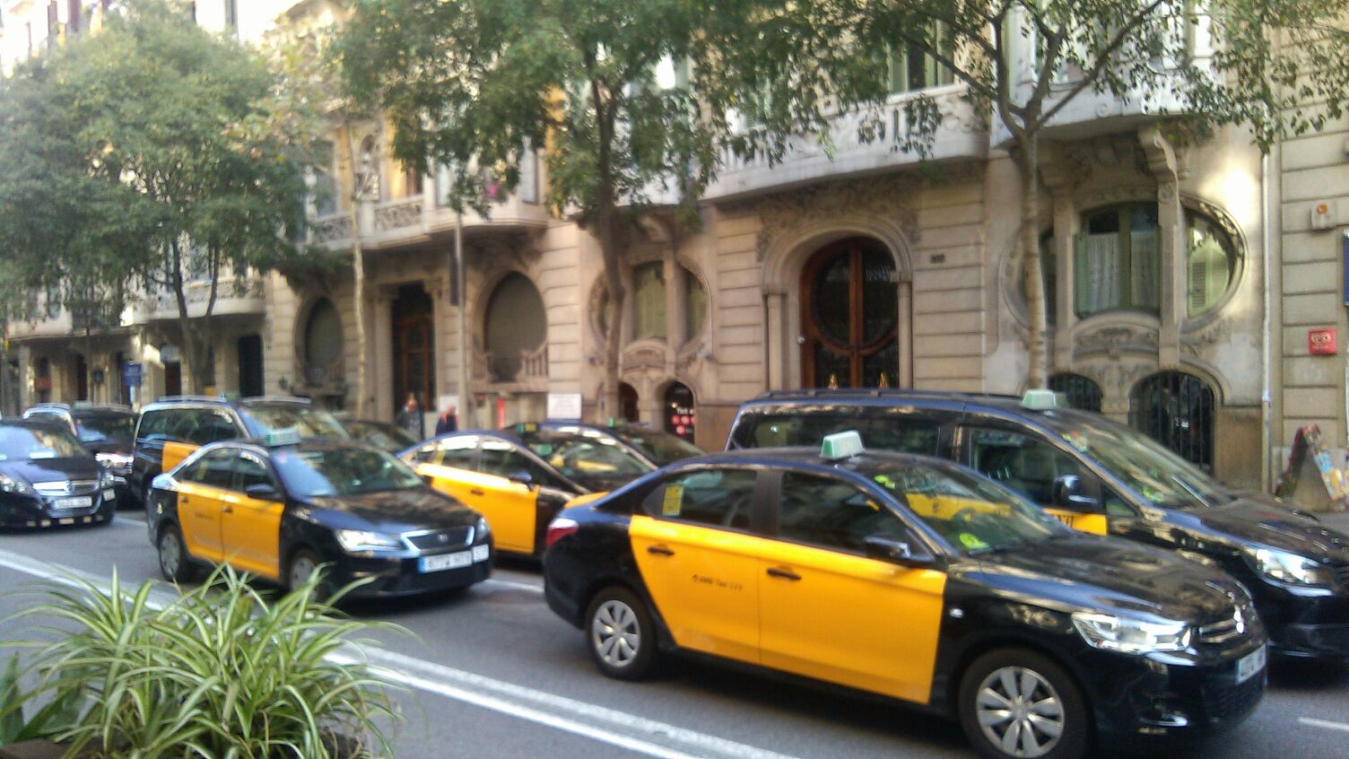 Els taxistes traslladaran les queixes sobre les llicències VTC a Foment