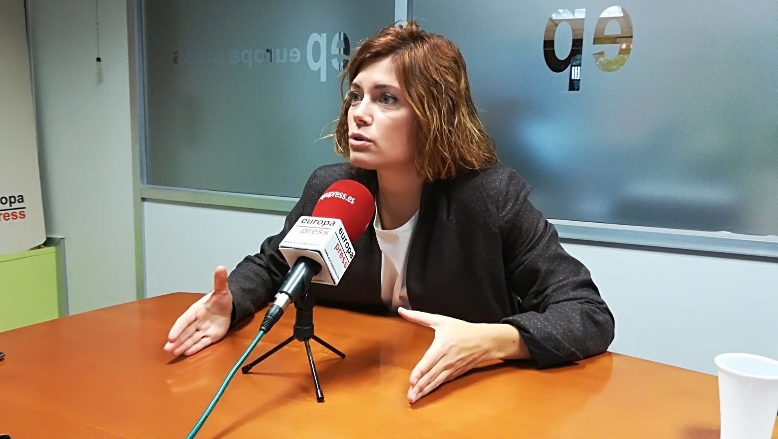 Els comuns demanen incloure un "referèndum pactat" en els programes independentistes