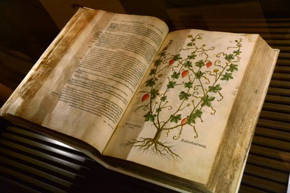 La magia de los viejos libros de la UB, en el Museu d'Història de Catalunya