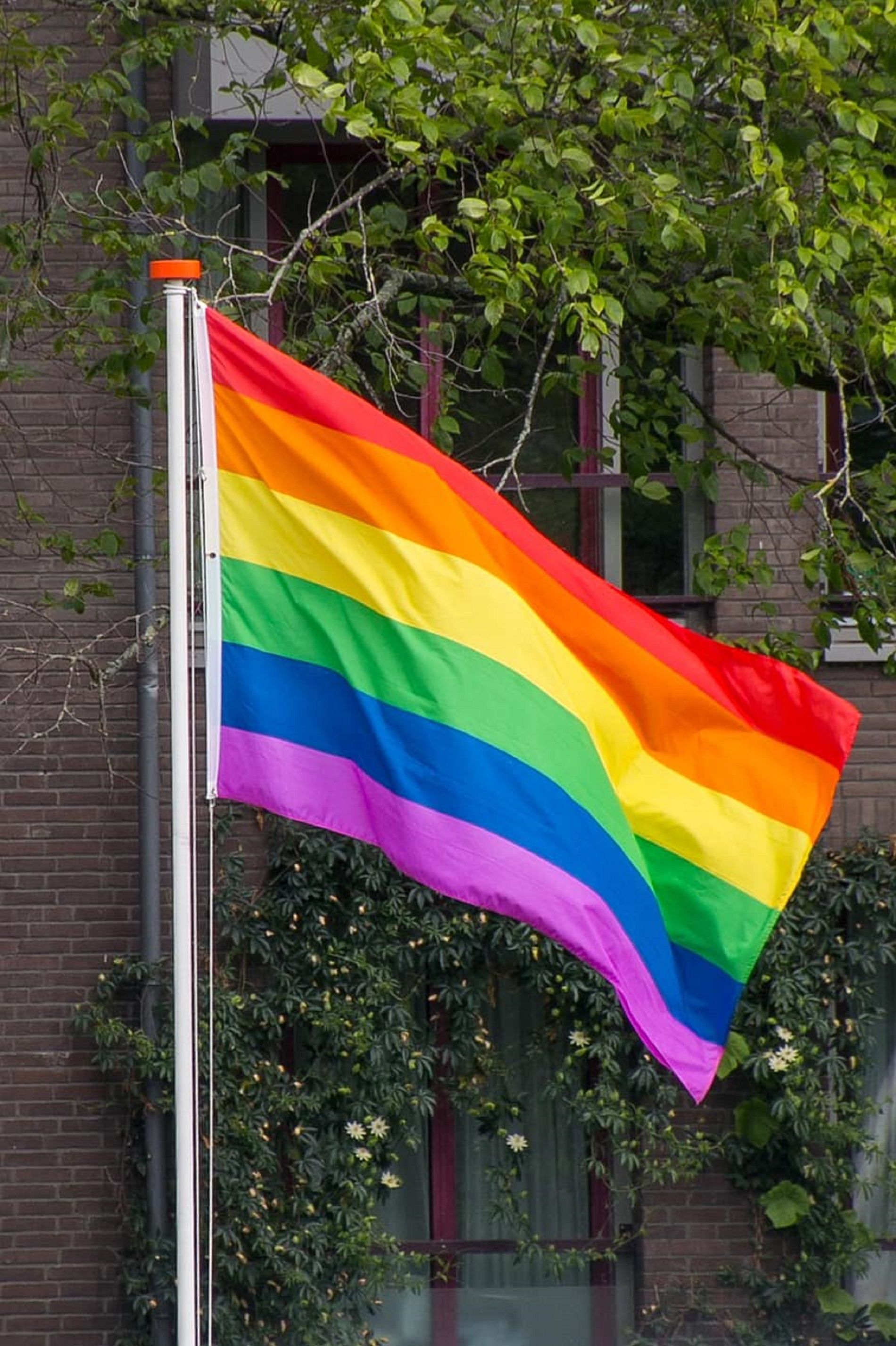 Rusia endurece su ley anti-LGTBI: nueva prohibición contra la "propaganda gay"