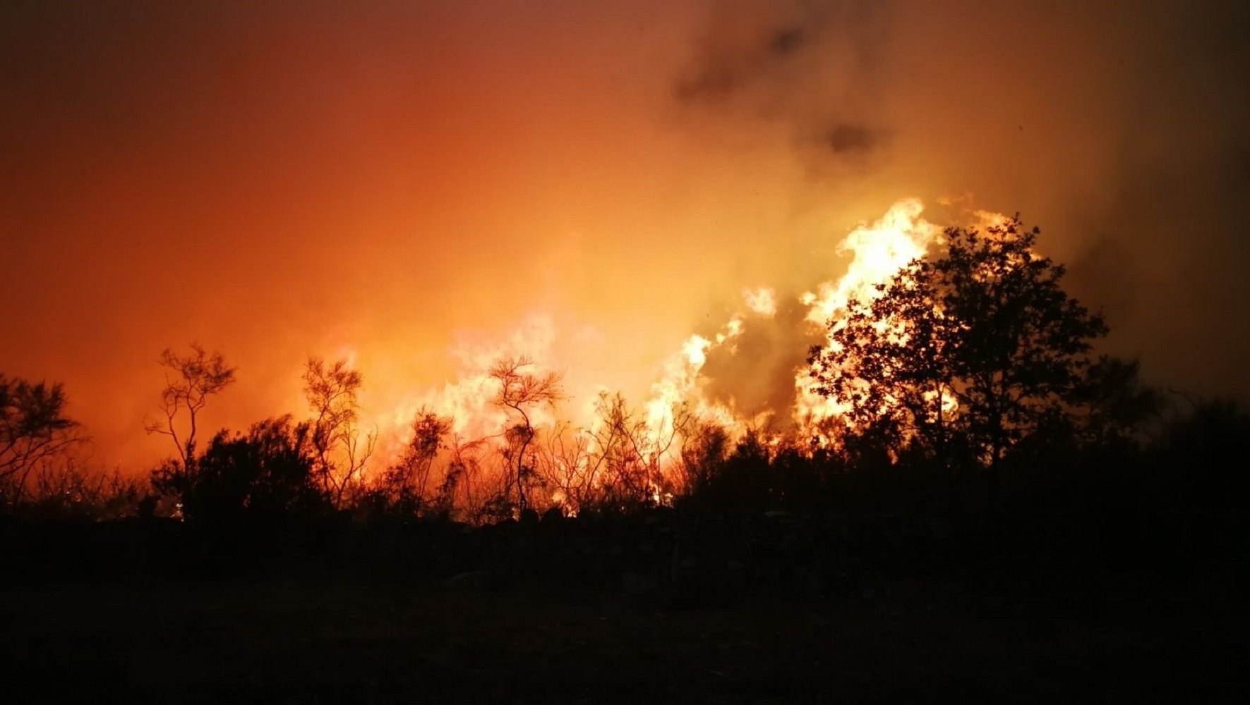 Una docena de incendios queman el sur de Asturias