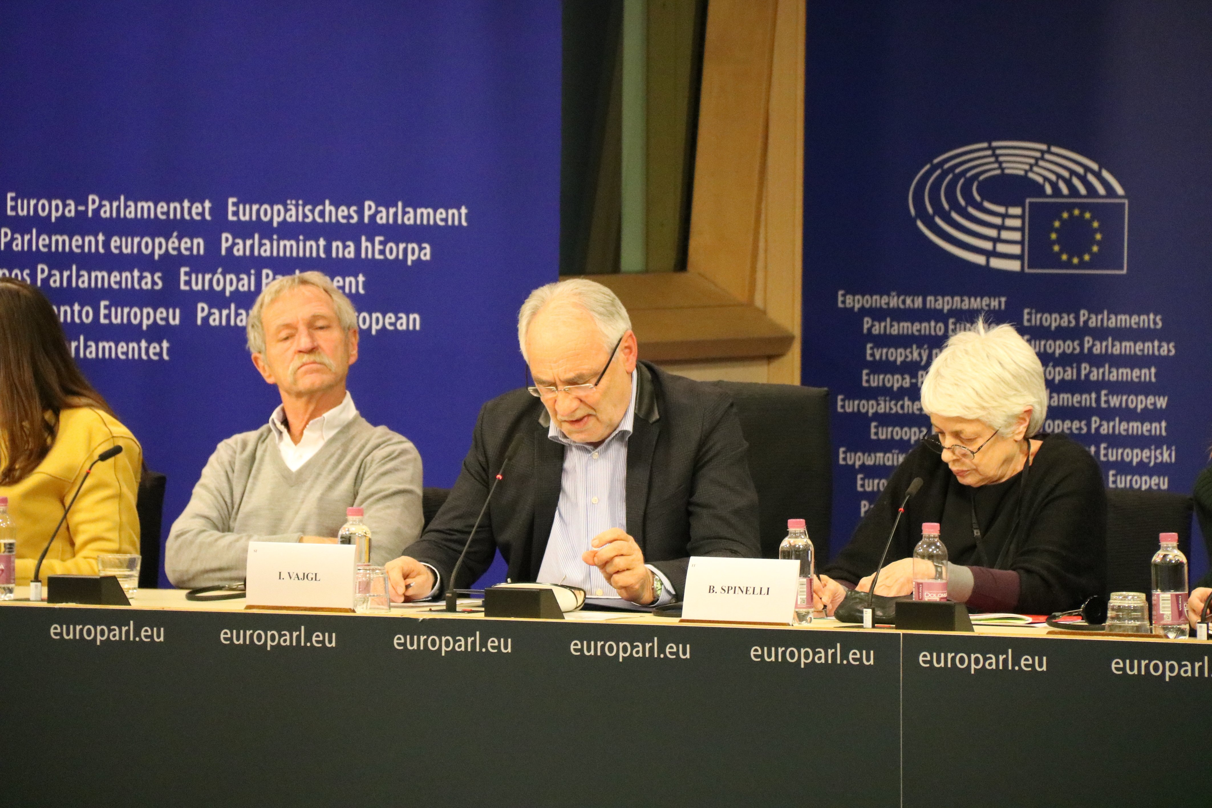 Eurodiputats denuncien les traves de l'Estat per veure els consellers a la presó