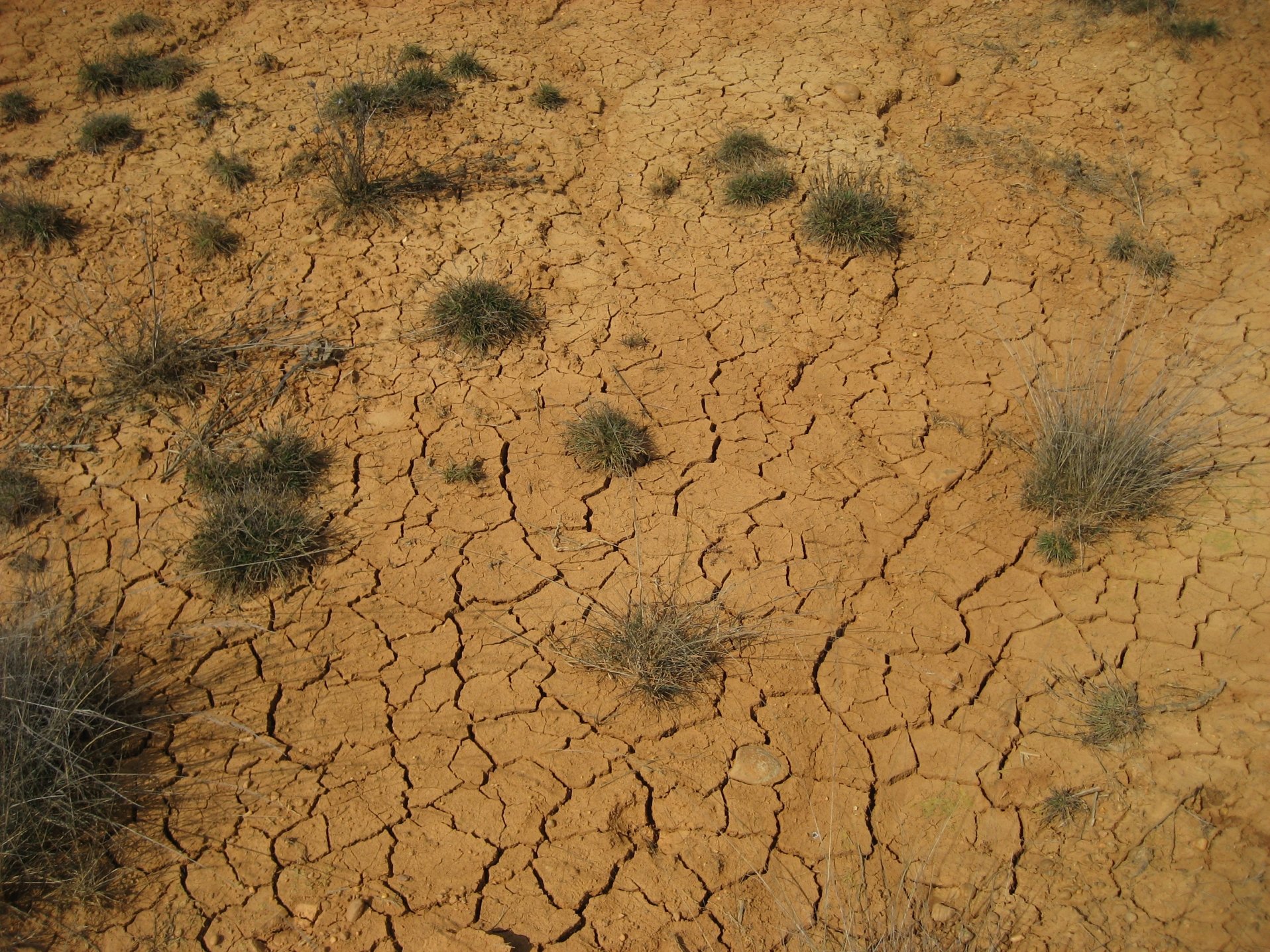Cada gota cuenta: consejos para ahorrar agua ante la sequía