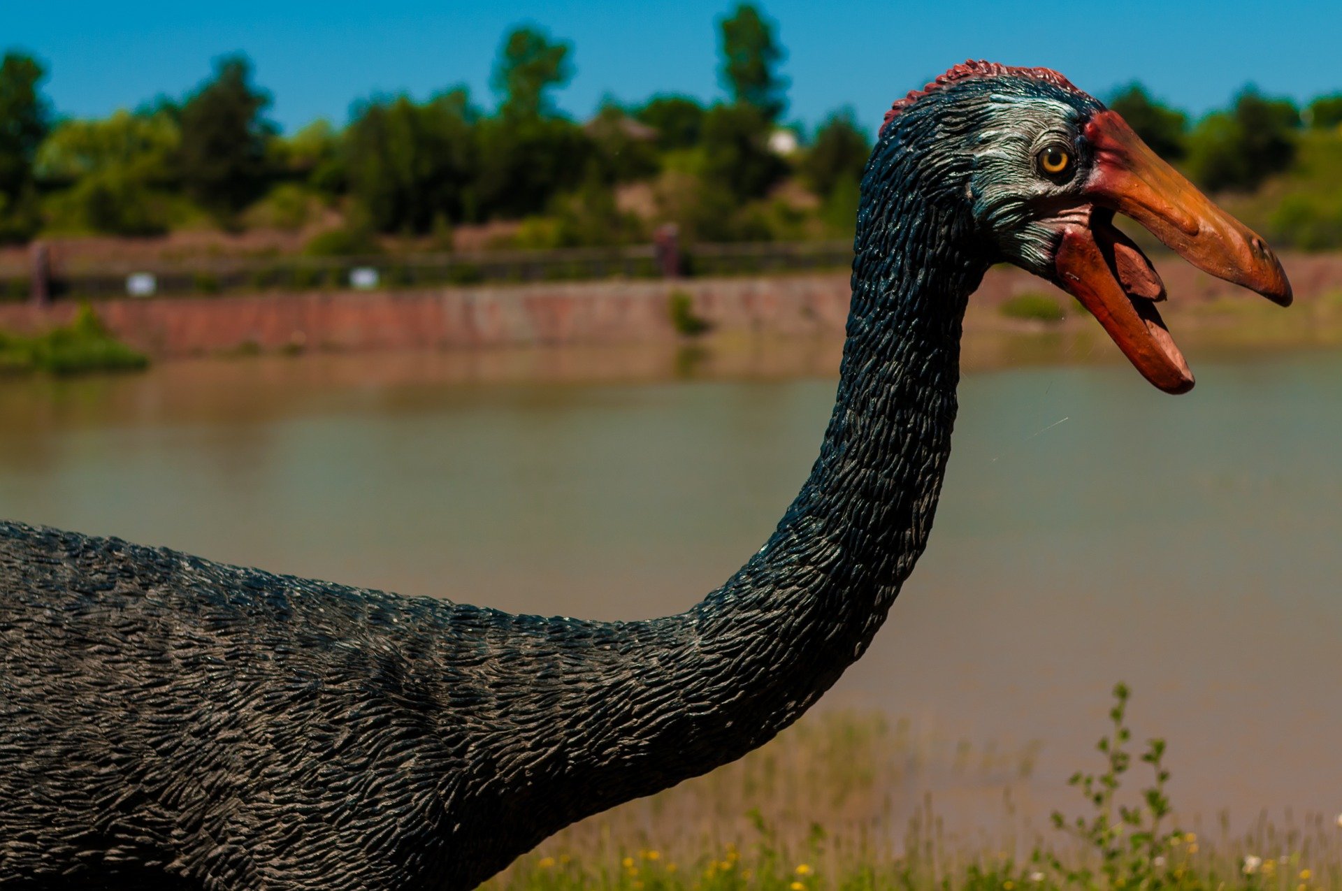 Les paparres ja xuclaven la sang dels dinosaures